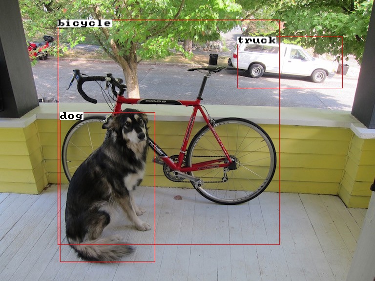 dog, bicycle and truck
