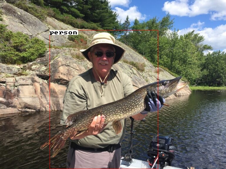 fish
